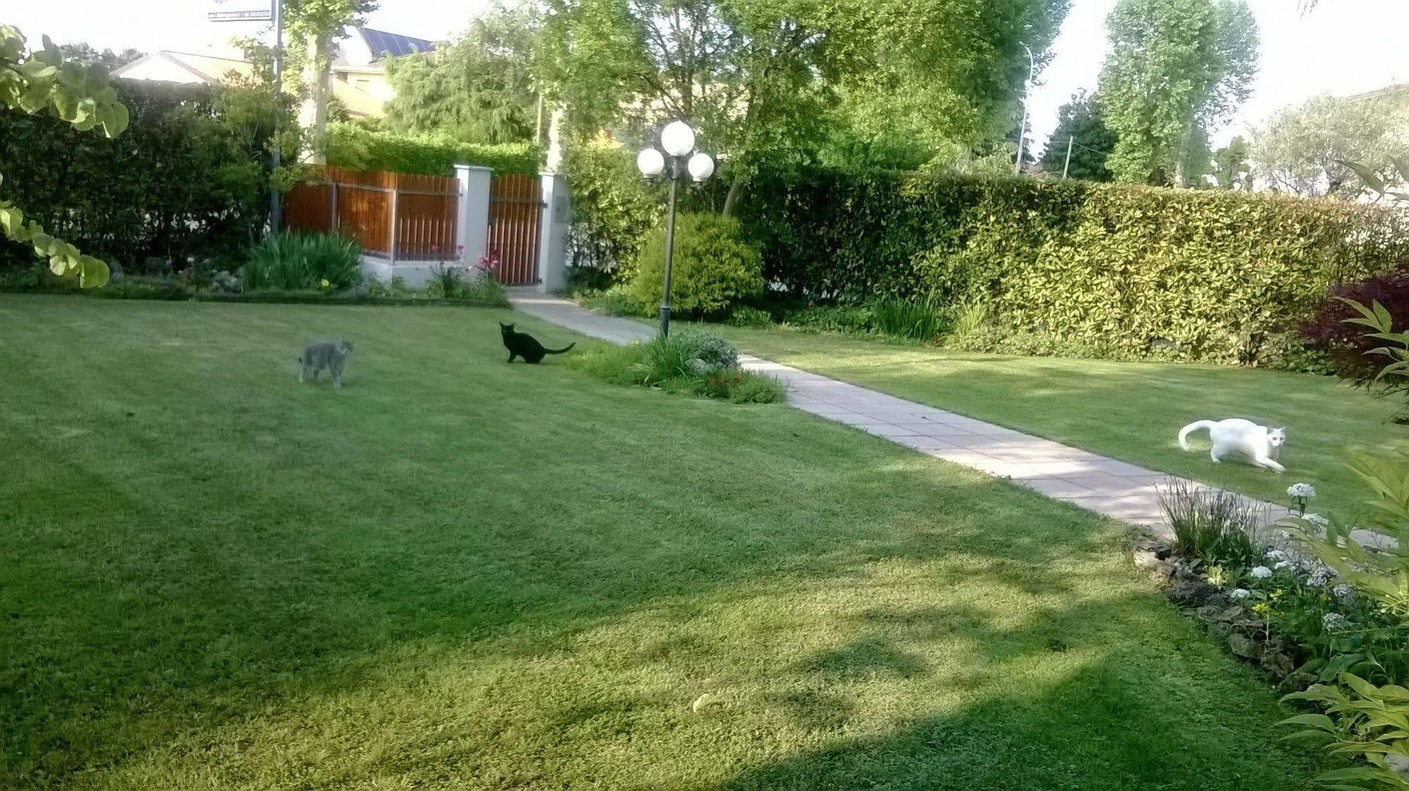 B&B Le Tre Grazie San Martino di Lupari Zewnętrze zdjęcie
